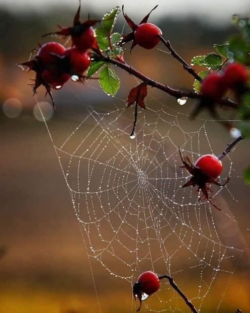  - Toamna în octombrie