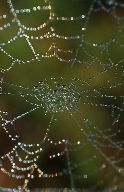  - Toamna în octombrie