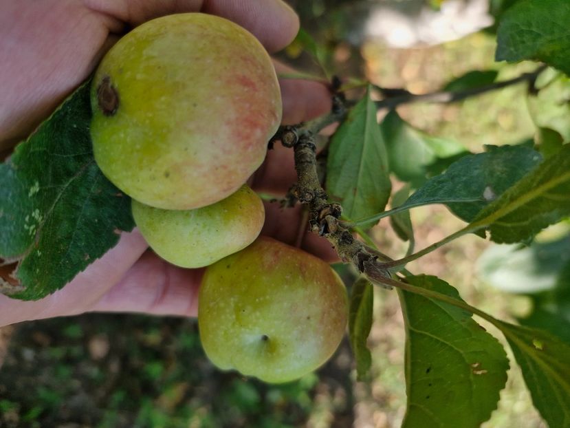  - Toamna în octombrie