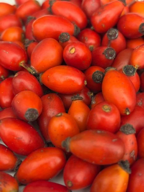  - Toamna în octombrie