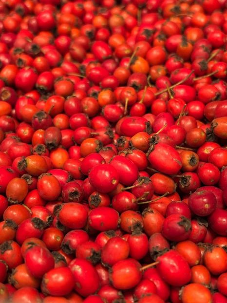  - Toamna în octombrie