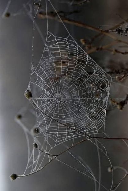  - Toamna în octombrie