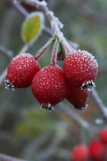  - Toamna în octombrie