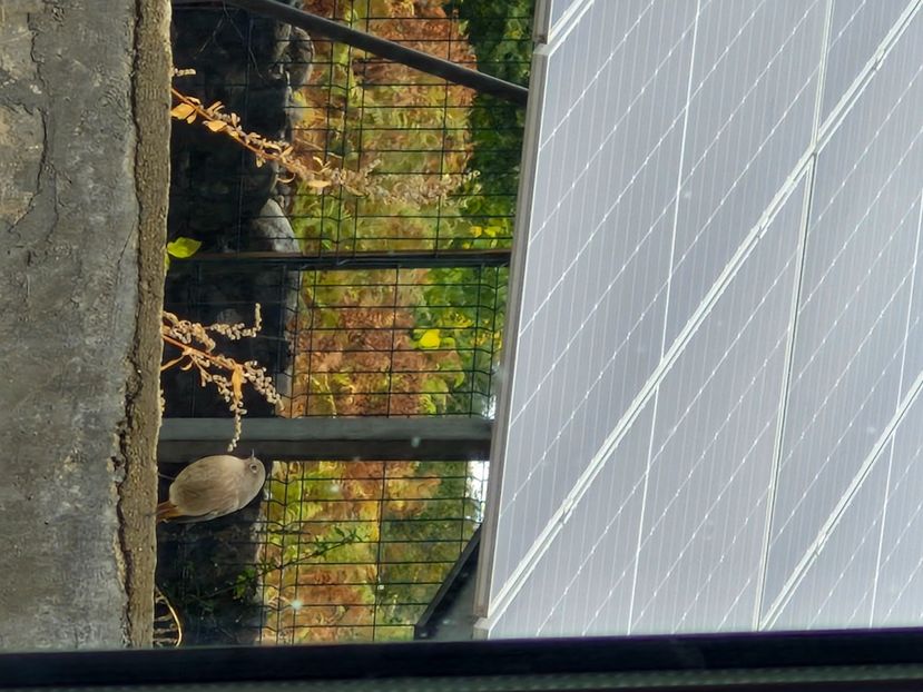  - Toamna în octombrie