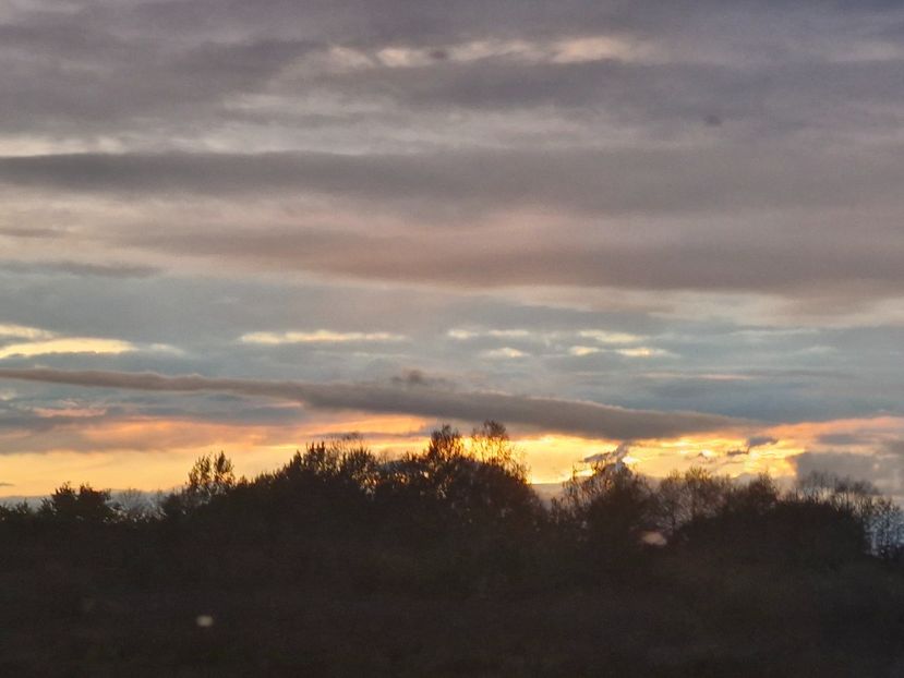  - Toamna în octombrie