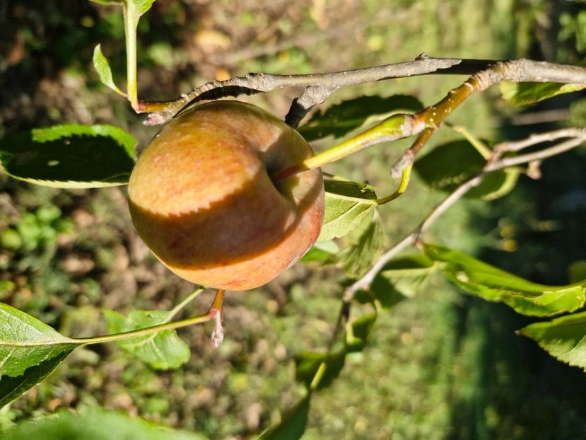  - La țară octombrie 2025