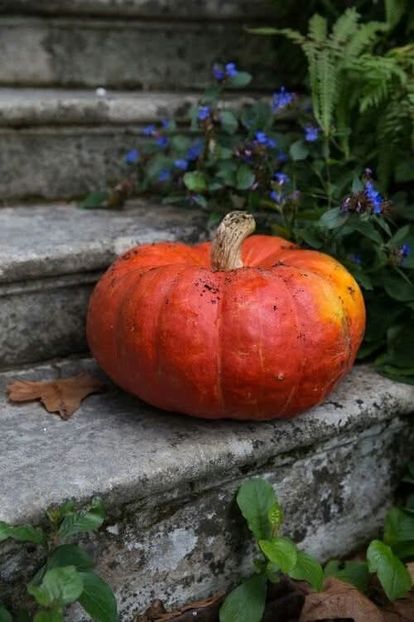  - La țară octombrie 2025