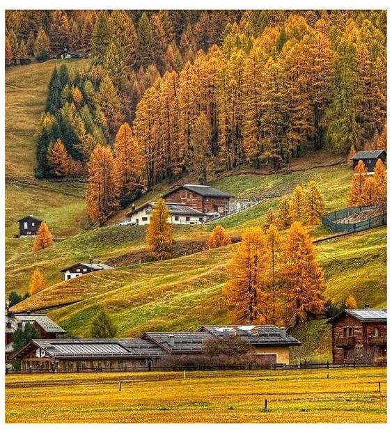 ♡ Oᥴtobᥱr 17 » „You can t lie to yourself after loving something true, and I ve never loved a soul q - Incredibly Nostalgic