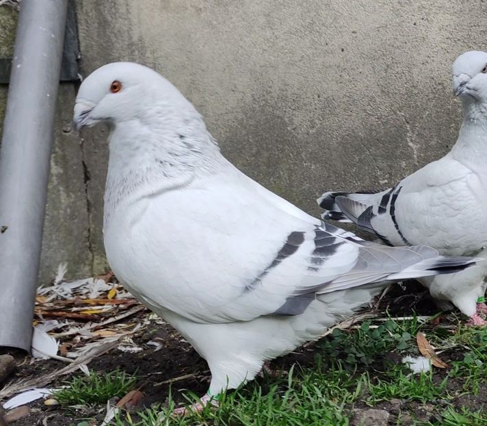 3 ARCHIWUM - c- MLODE 2025 YOUTH