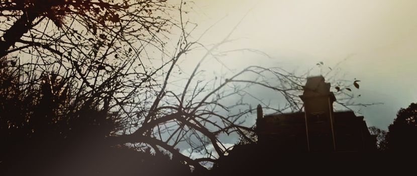 By the time the cops got involved, no one could agree on the truth. - Those Poor UnAmerican Girls