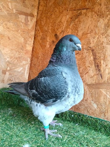 IMG20251018151346 - TINERET AGH 2025