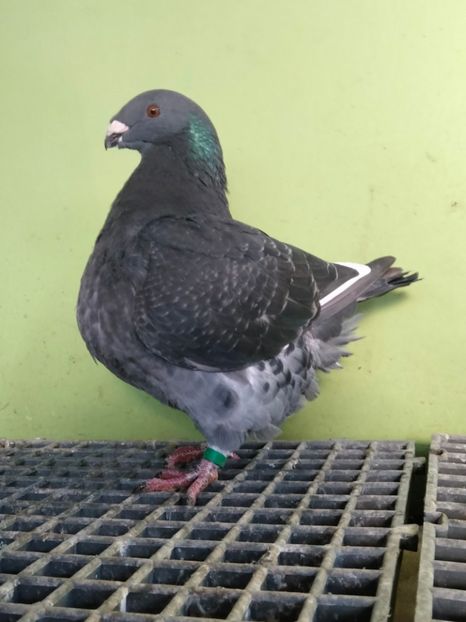 IMG20251019083722 - TINERET AGH 2025