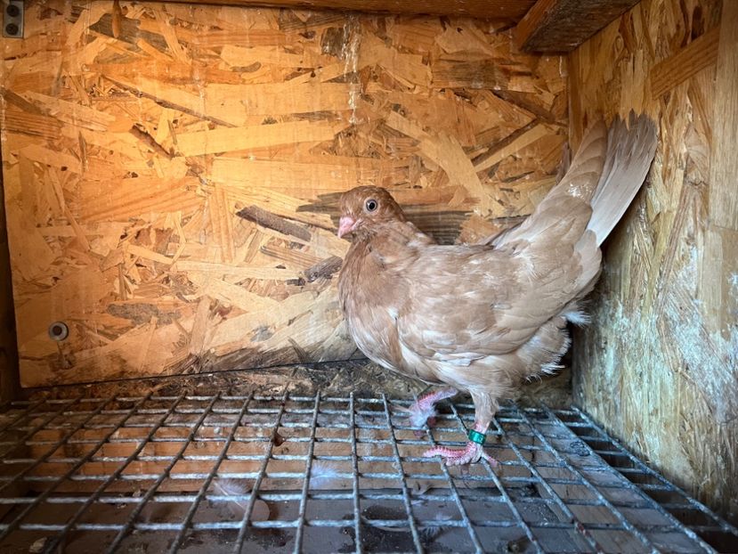 1876/25 - 8-lot zbor 2025