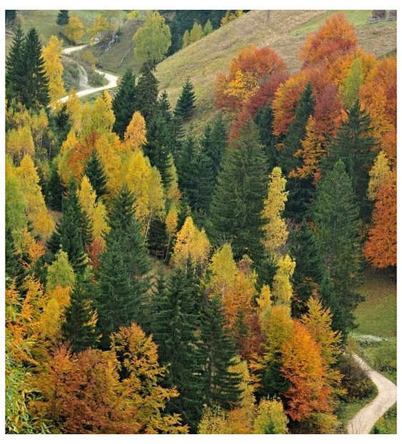 ♡ Oᥴtobᥱr 19 » „So come on, let it go.. just let it be. Why dont you be you, And I ll be me? - Incredibly Nostalgic