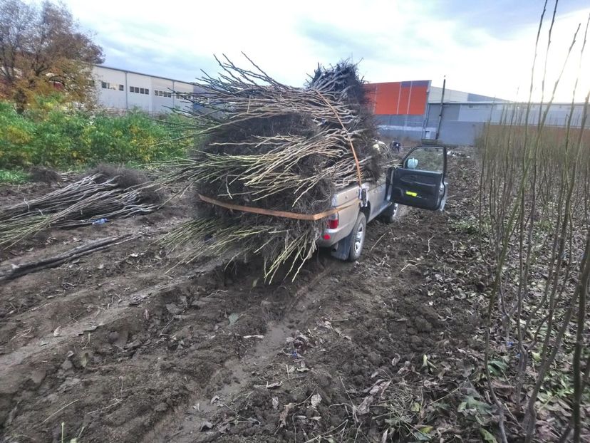  - NUC CHANDLER fructifica la un an