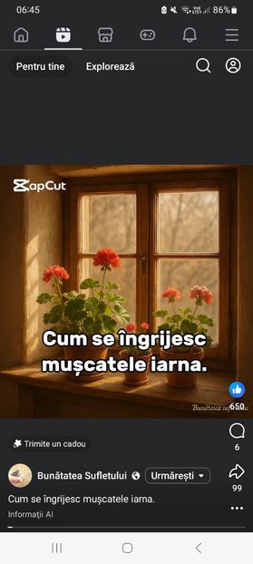 Screenshot_20251020_064542_Facebook - Cum se ingrijesc muscatele iarna