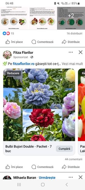 Screenshot_20251020_064833_Facebook - Bulbi bujori double