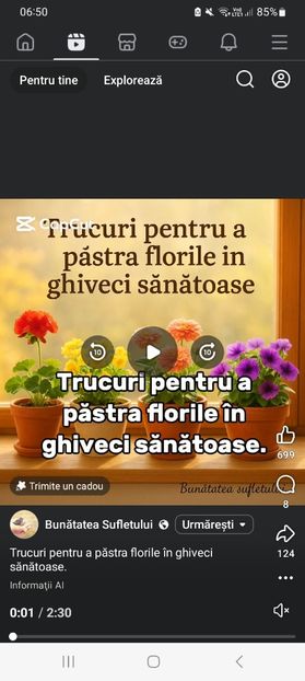 Screenshot_20251020_065013_Facebook - Trucuri pentru a pastra florile in ghiveci sanatoase
