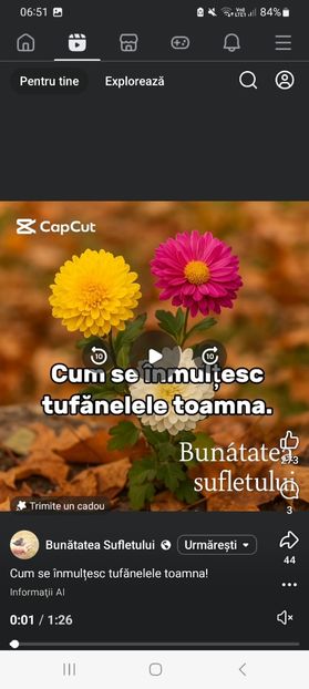 Screenshot_20251020_065107_Facebook - Cum se inmultesc tufanelele toamna