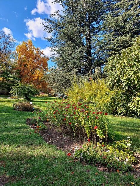  - ZZ Gradina Botanica Bucuresti