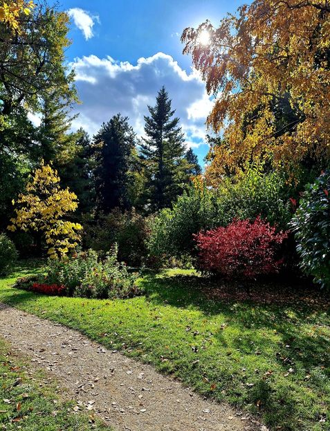  - ZZ Gradina Botanica Bucuresti