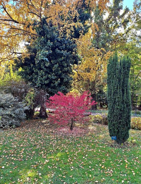  - ZZ Gradina Botanica Bucuresti