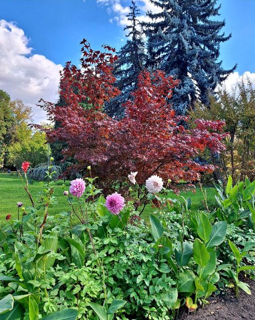  - ZZ Gradina Botanica Bucuresti