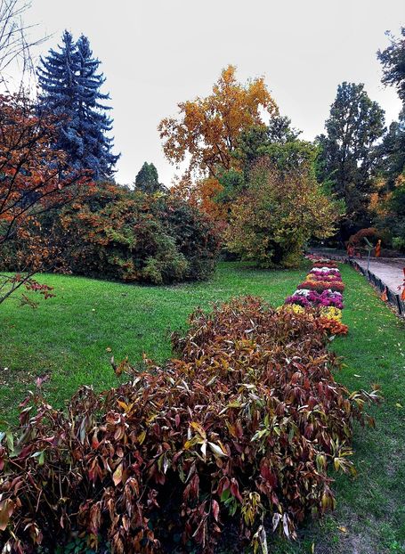  - ZZ Gradina Botanica Bucuresti
