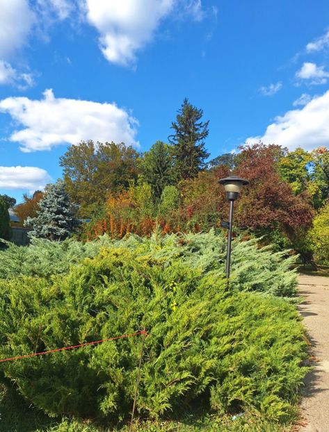  - ZZ Gradina Botanica Bucuresti