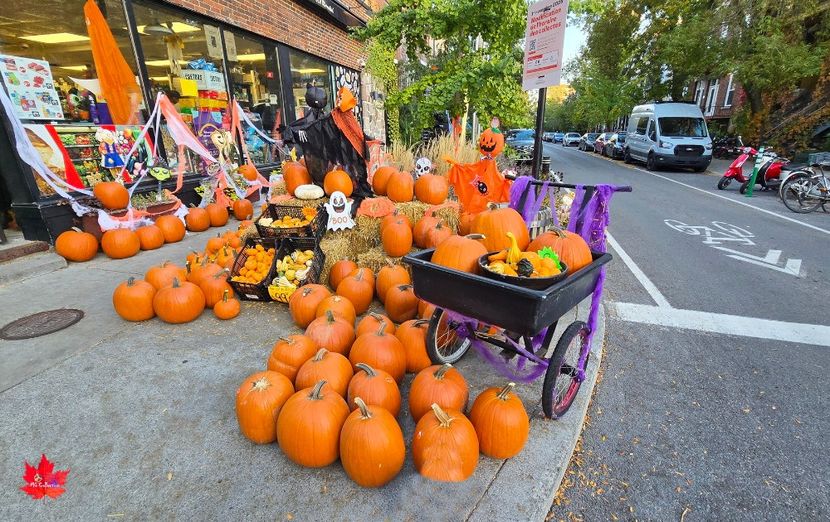 Halloween DECO 2 - F - FUNNY and FANTASY