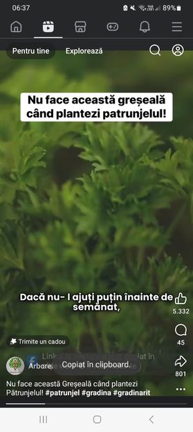 Screenshot_20251022_063749_Facebook - Nu face aceasta greseala cand plantezi patrunjelul