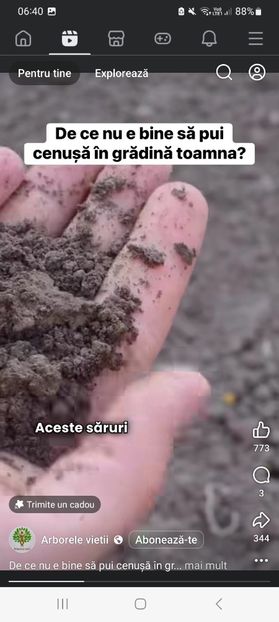 Screenshot_20251022_064044_Facebook - De ce nu e bine sa pui cenusa in gradina toamna