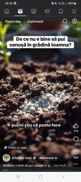 Screenshot_20251022_064031_Facebook - De ce nu e bine sa pui cenusa in gradina toamna