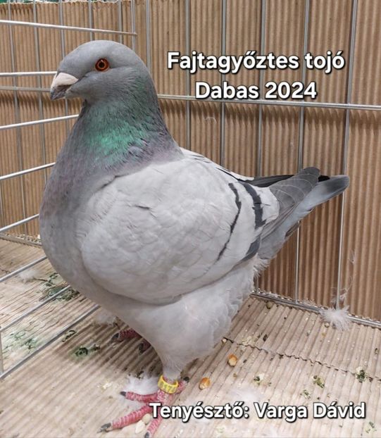 IMG-20250915-WA0005 - AGH Matca 2026