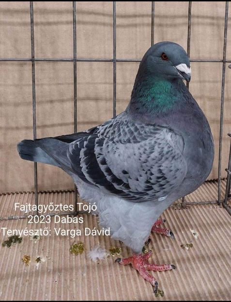 IMG-20250731-WA0014 - AGH Matca 2026