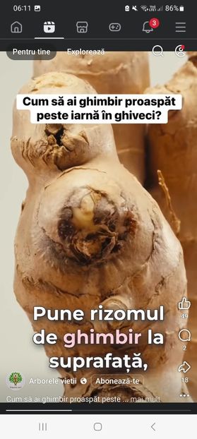 Screenshot_20251023_061107_Facebook - Cum sa ai ghimbir proaspat peste iarna in ghiveci
