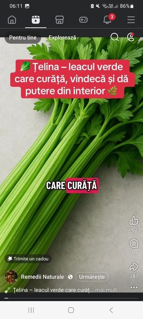 Screenshot_20251023_061128_Facebook - Telina - leacul verde care curata vindeca si da putere din interior