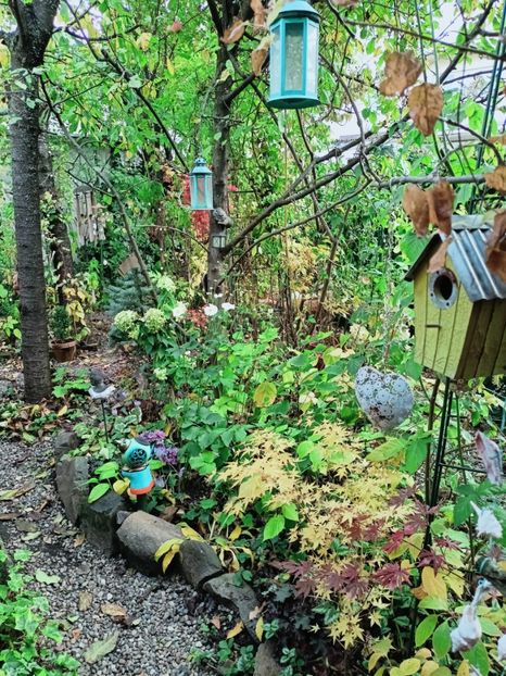  - Grădina 2025 continuare 5