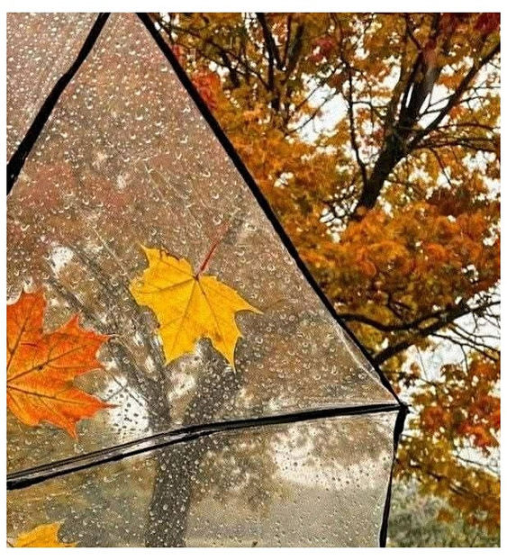 ♡ Oᥴtobᥱr 23 » „Please forgive me, I know now what I do.. Please forgive me, I can t stop - Incredibly Nostalgic