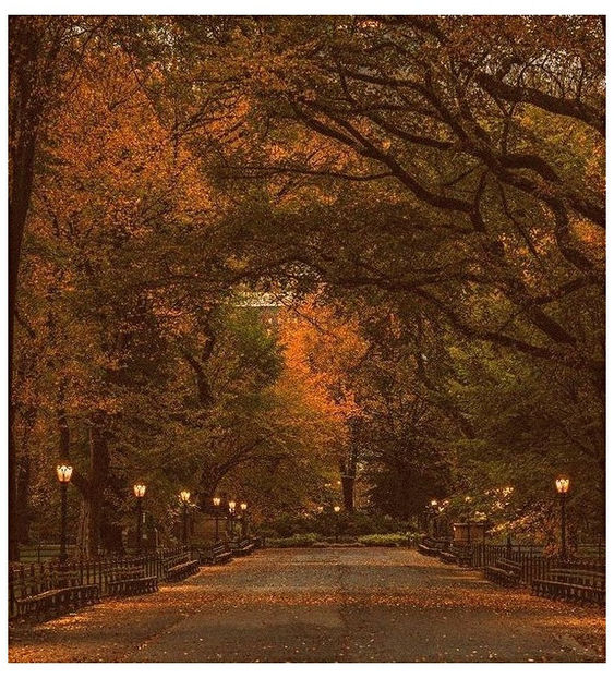 ♡ Oᥴtobᥱr 24 » - Incredibly Nostalgic