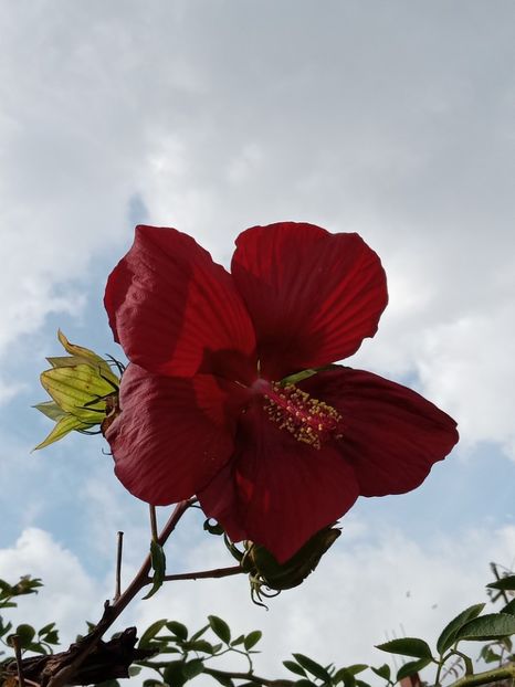  - SEPTEMBRIE-OCTOMBRIE - NOIEMBRIE