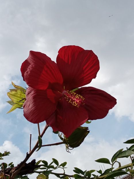  - SEPTEMBRIE-OCTOMBRIE - NOIEMBRIE