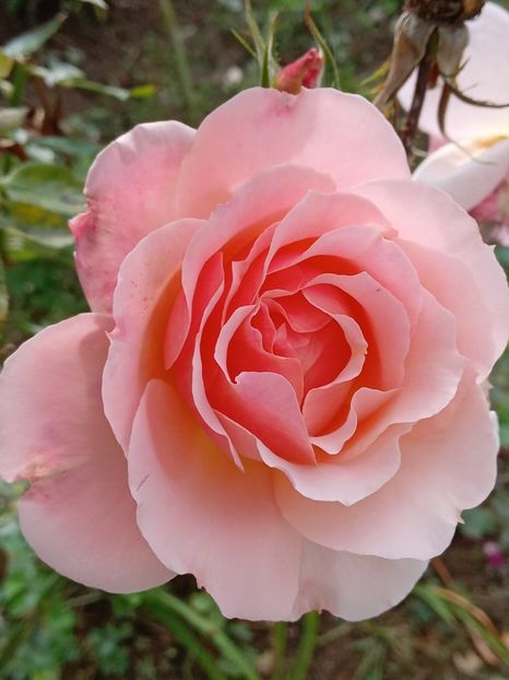  - SEPTEMBRIE-OCTOMBRIE - NOIEMBRIE