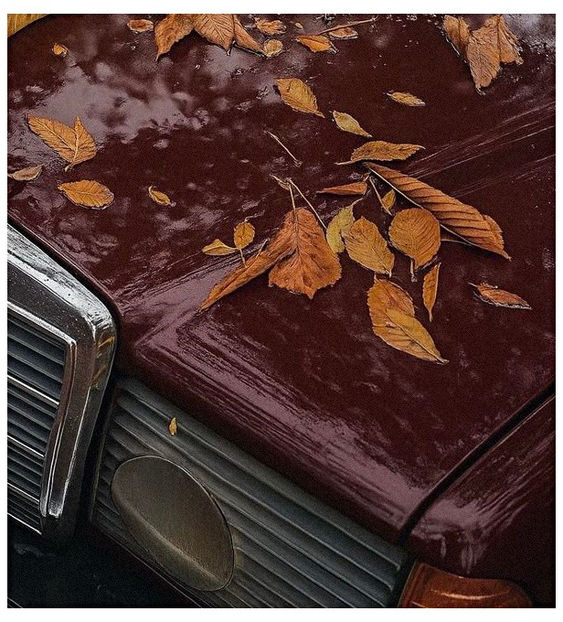 ♡ Oᥴtobᥱr 25 » - Incredibly Nostalgic