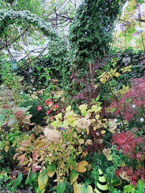  - Grădina 2025 continuare 5