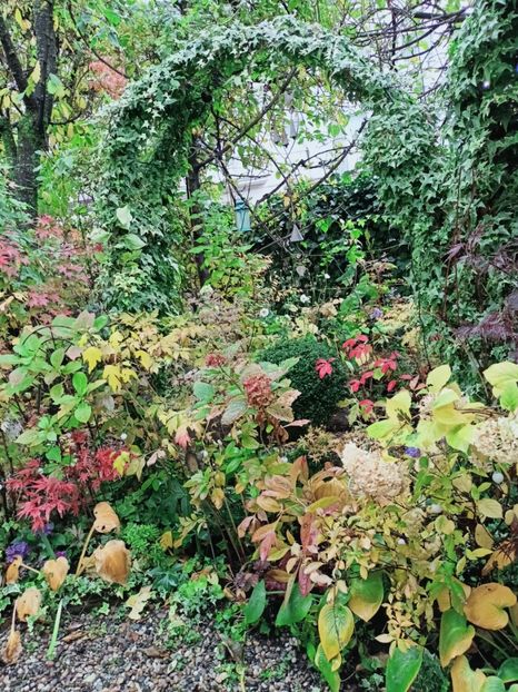  - Grădina 2025 continuare 5