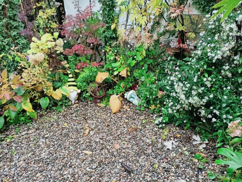  - Grădina 2025 continuare 5