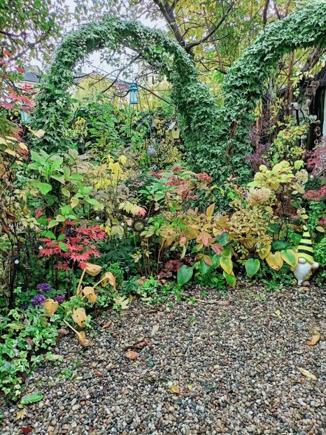  - Grădina 2025 continuare 5