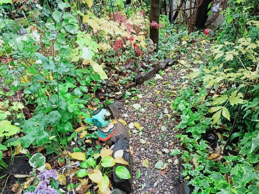  - Grădina 2025 continuare 5