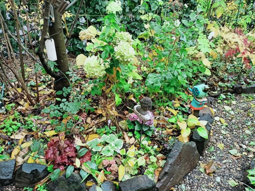  - Grădina 2025 continuare 5